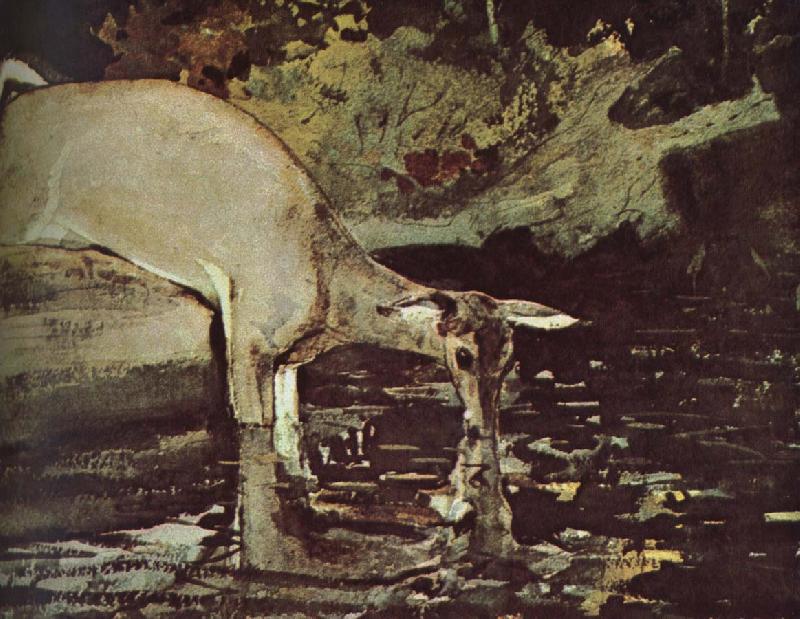 Winslow Homer Deer drink China oil painting art